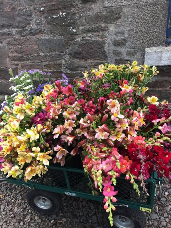 Autumn DIY Bunch - Image 7