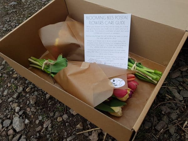 Double Tulips - Postal Flowers - Image 2