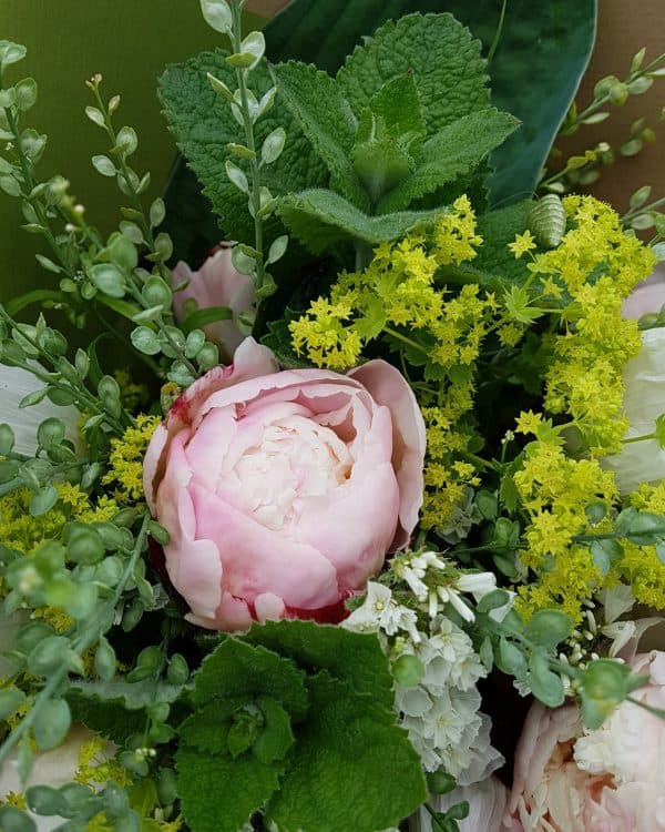 Petite Peony Bouquet Special - Image 2