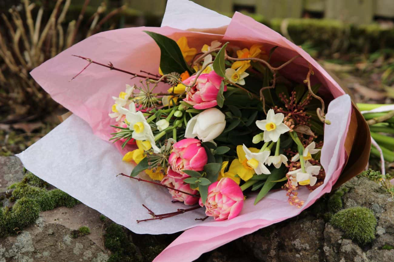 The Postal Flower Subscription 2024 Blooming Bees