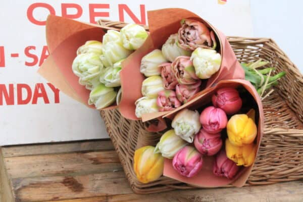 Tulip Wrap