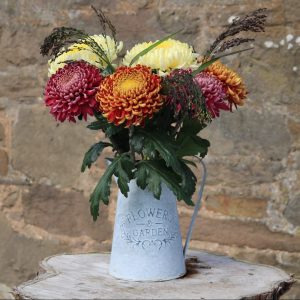 Bloom Chrysanthemums By Post