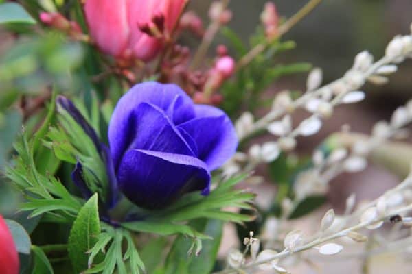 Mothers Day Spring Jar - Image 4