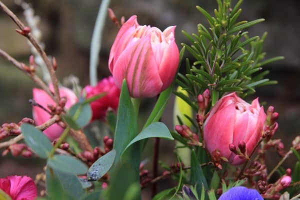Mothers Day Luxury Tulip Wrap - Image 5