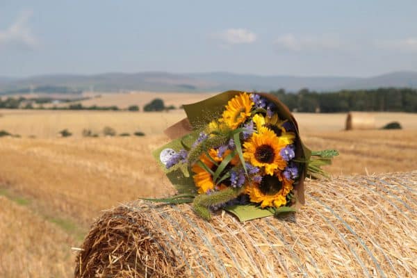 Sunflower Bouquet Special - Image 2