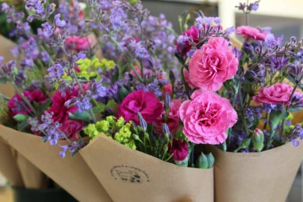 Autumn DIY Bunch - Image 6