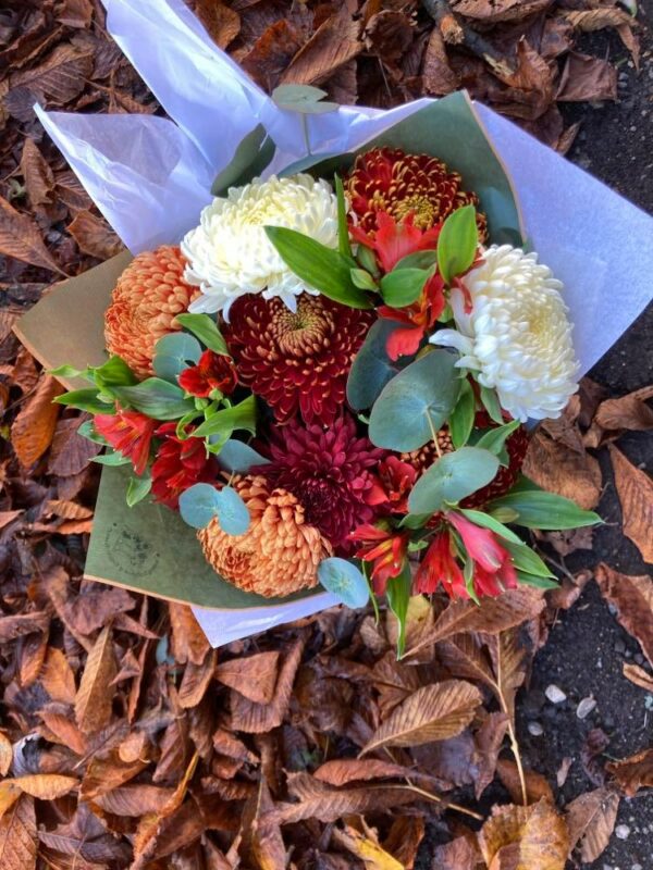 Bloom Special - Image 5