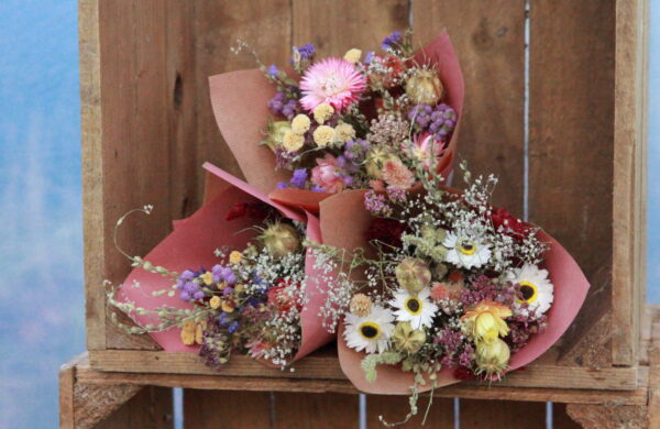 Dried Petite Posy