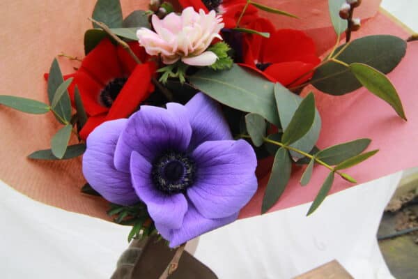 Anemone Posy - Image 4