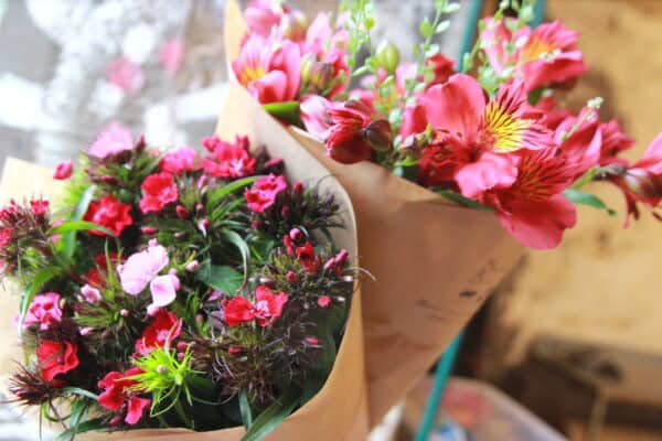 Blooming good bundle! - Image 4