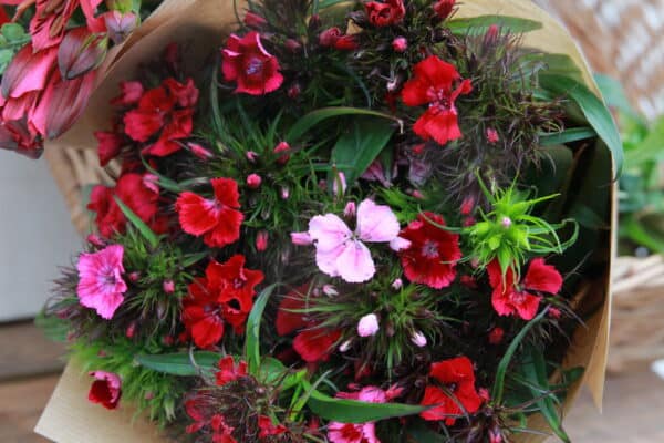 Blooming good bundle! - Image 3