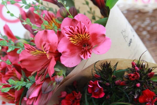 Blooming good bundle! - Image 2