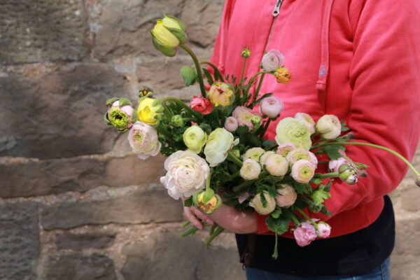 Ranunculus Bunch - Image 3