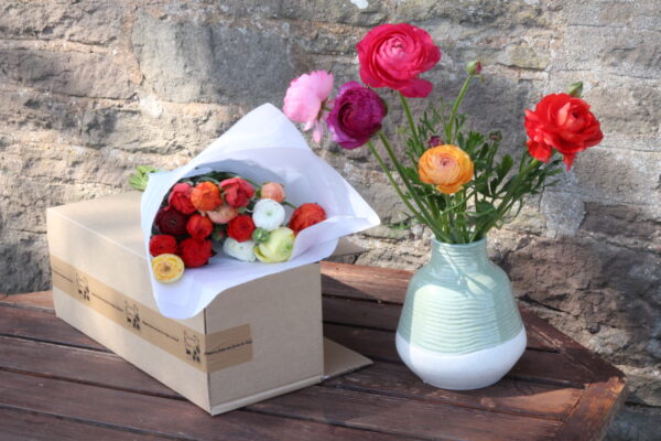 Ranunculus By Post - Image 3