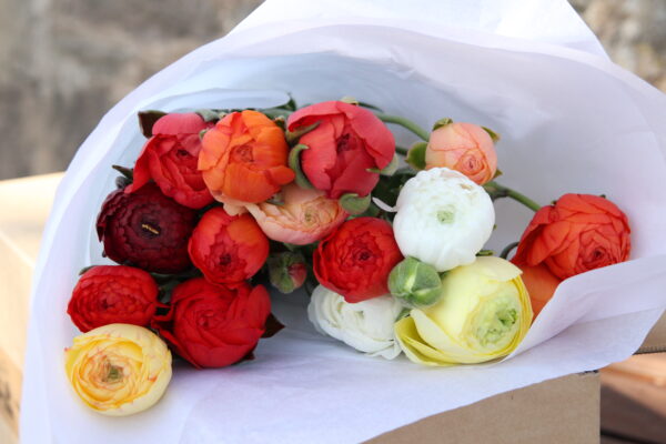 Ranunculus By Post - Image 2