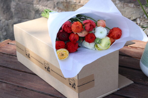 Ranunculus By Post