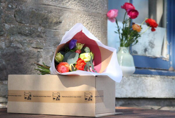 The Postal Flower Subscription 2025
